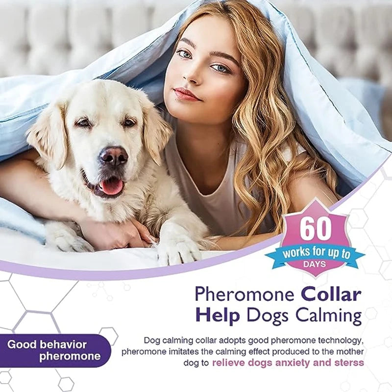 🐾 Coleira Calmante para Cães e Gatos – Proteção e Relaxamento