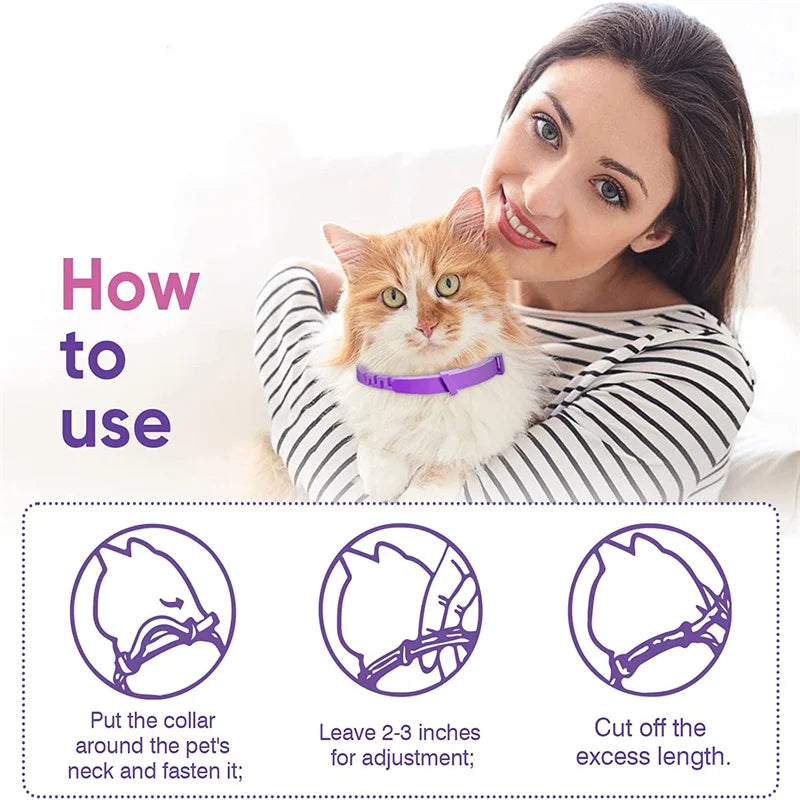 🐾 Coleira Calmante para Cães e Gatos – Proteção e Relaxamento