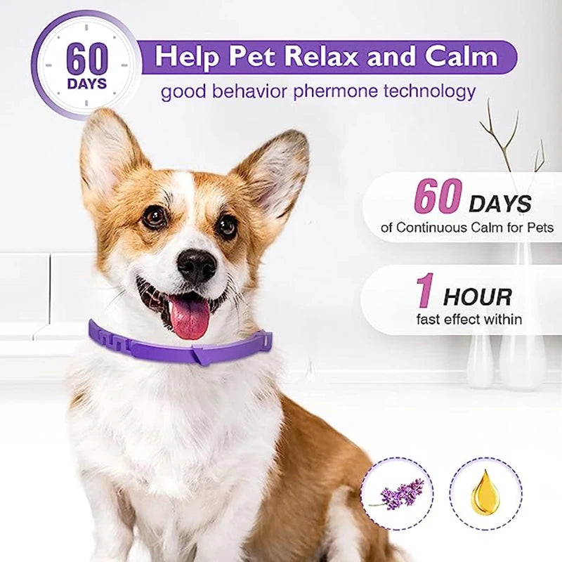 🐾 Coleira Calmante para Cães e Gatos – Proteção e Relaxamento