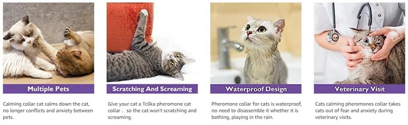 🐾 Coleira Calmante para Cães e Gatos – Proteção e Relaxamento