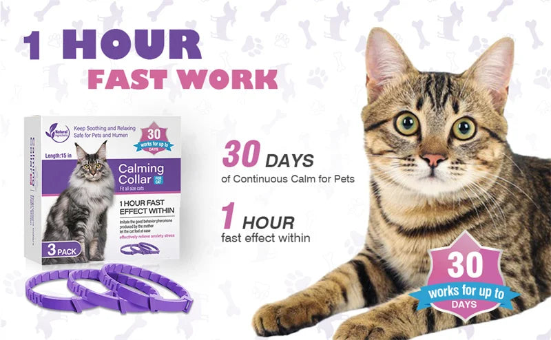 🐾 Coleira Calmante para Cães e Gatos – Proteção e Relaxamento