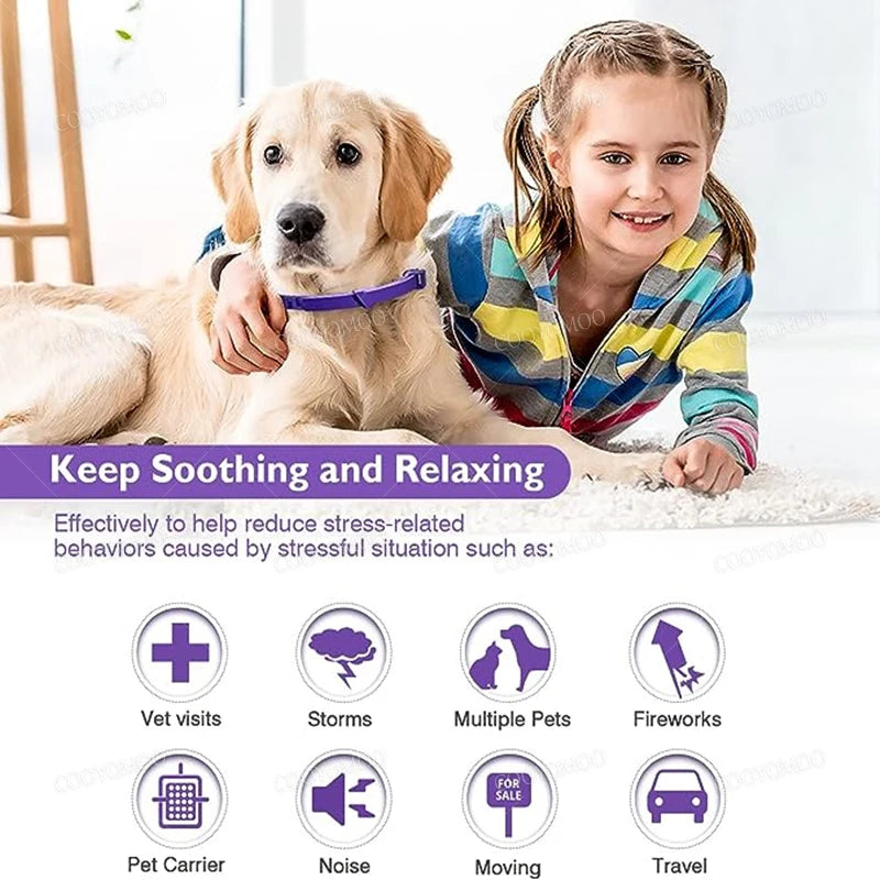🐾 Coleira Calmante para Cães e Gatos – Proteção e Relaxamento