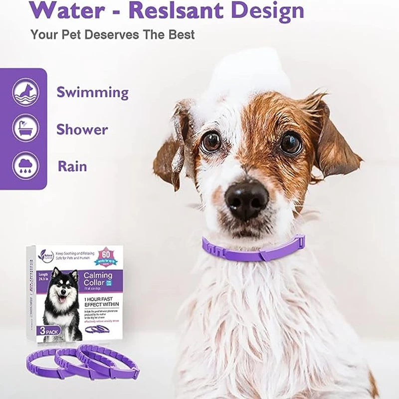 🐾 Coleira Calmante para Cães e Gatos – Proteção e Relaxamento