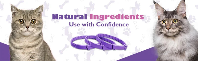 🐾 Coleira Calmante para Cães e Gatos – Proteção e Relaxamento