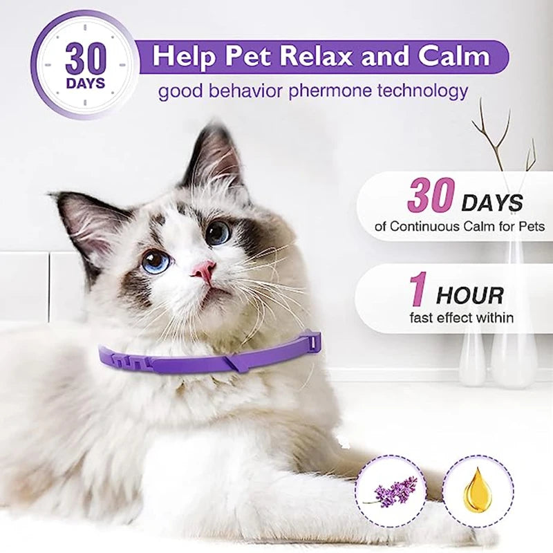 🐾 Coleira Calmante para Cães e Gatos – Proteção e Relaxamento