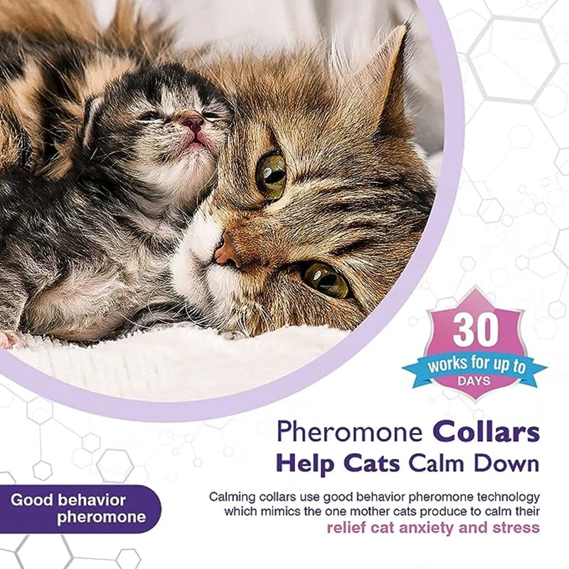 🐾 Coleira Calmante para Cães e Gatos – Proteção e Relaxamento