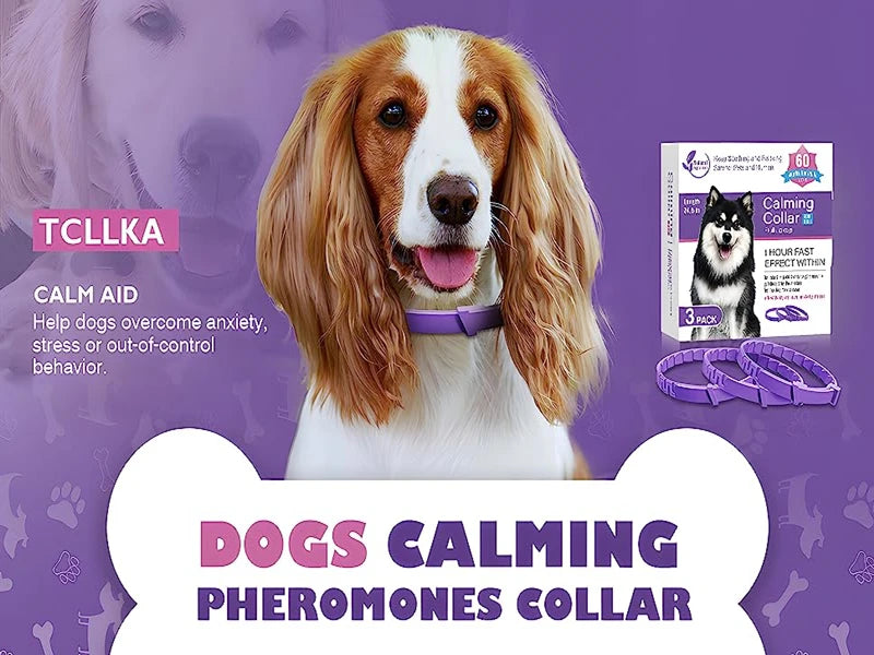 🐾 Coleira Calmante para Cães e Gatos – Proteção e Relaxamento